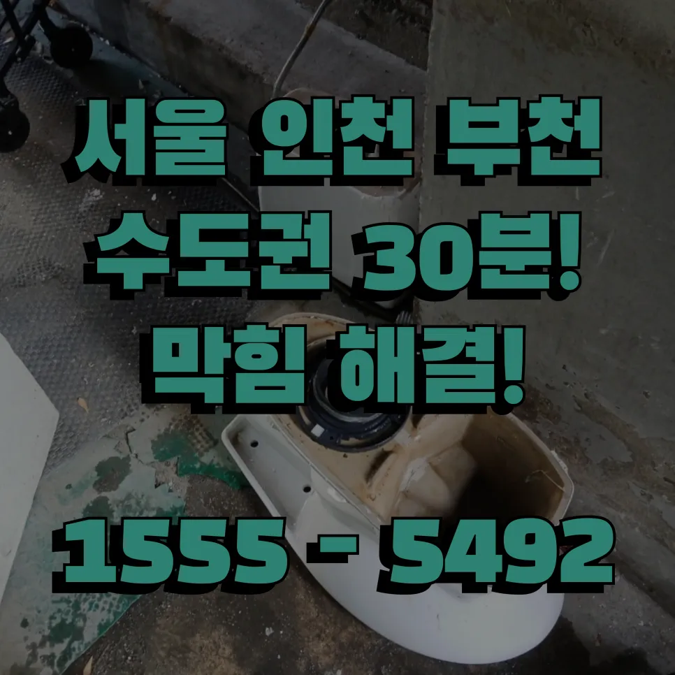 광희동변기막힘